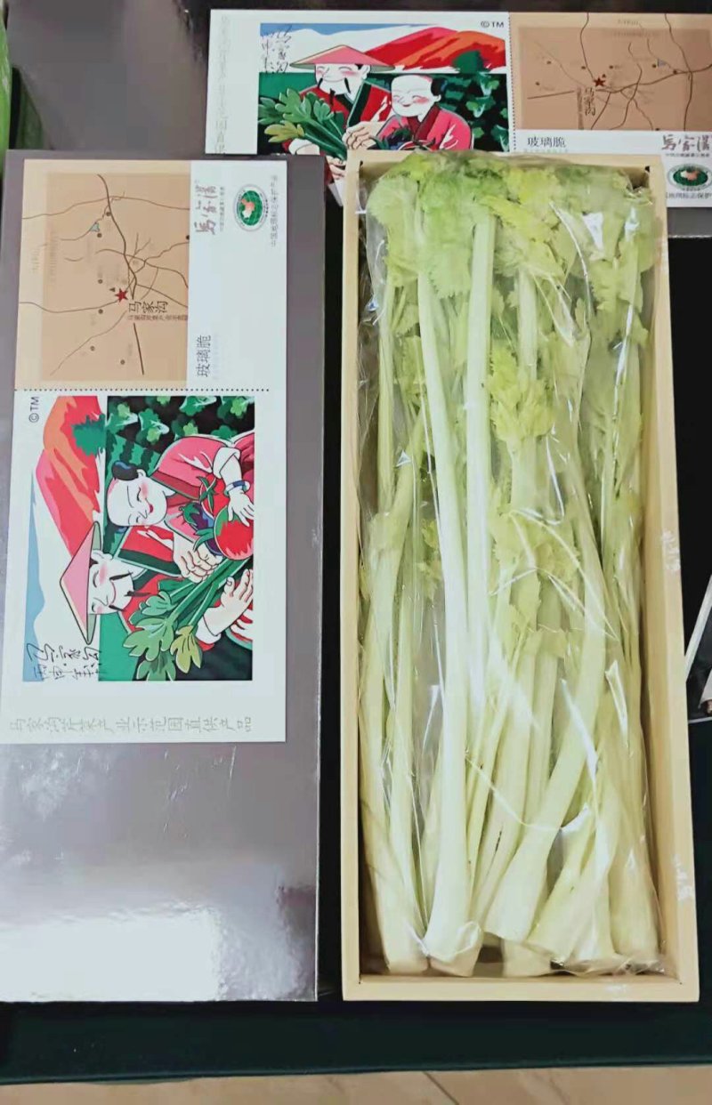 马家沟牌发酵有机菌种植芹菜