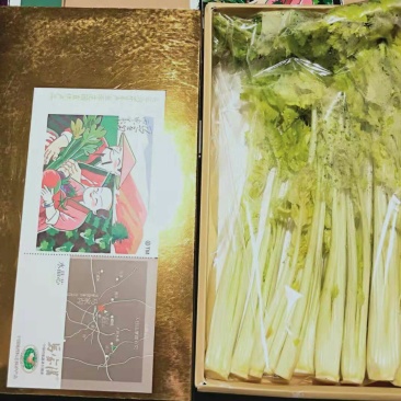 马家沟牌发酵有机菌种植芹菜