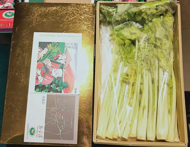 马家沟牌有机菌种植空心芹菜