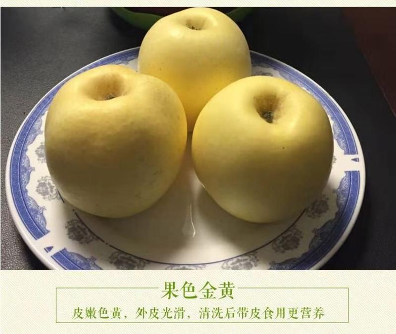 【一件代发】山东烟台苹果，新果脆甜多汁精品奶油富士一级