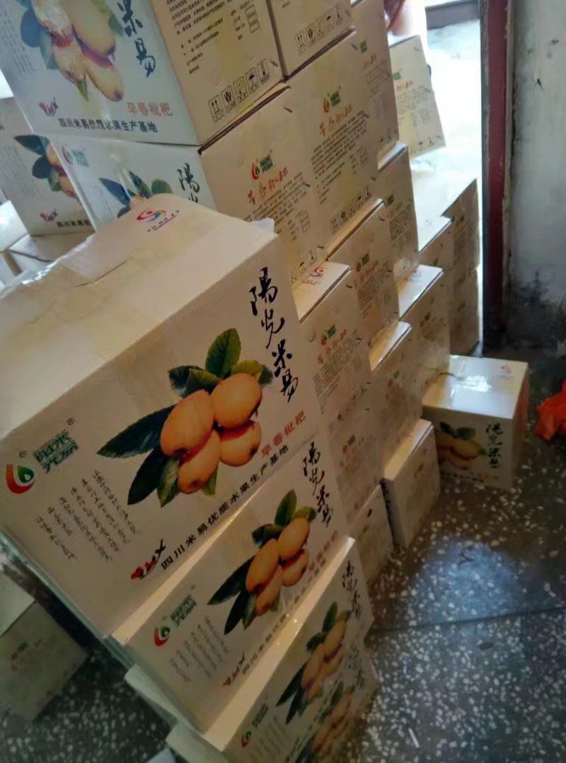 枇杷二级果6元一斤
