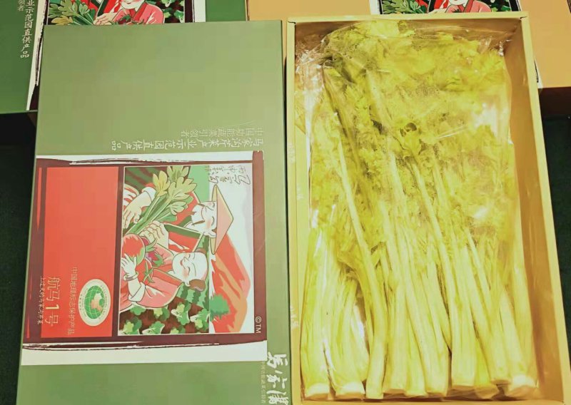 马家沟牌有机菌种植空心芹菜