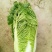 三号白菜