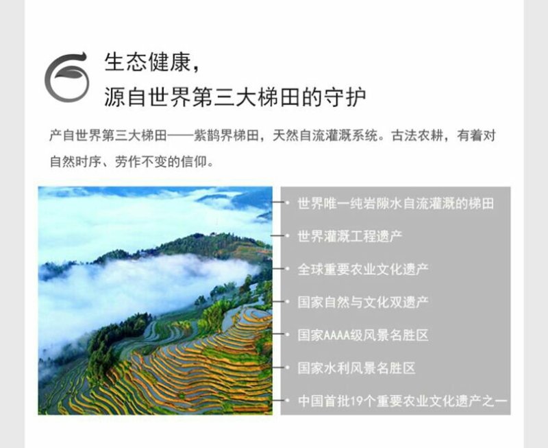 新化特产锄二代白白爱紫紫.米之侣七星紫米580g