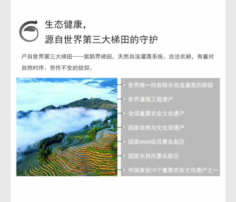 新化紫鹊界特产锄二代白白爱紫紫.米之侣超级七星紫米