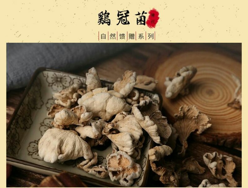 新化特产锄二代鸡冠菌150g大熊山野生鸡冠菌