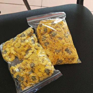 土博定山金丝皇菊