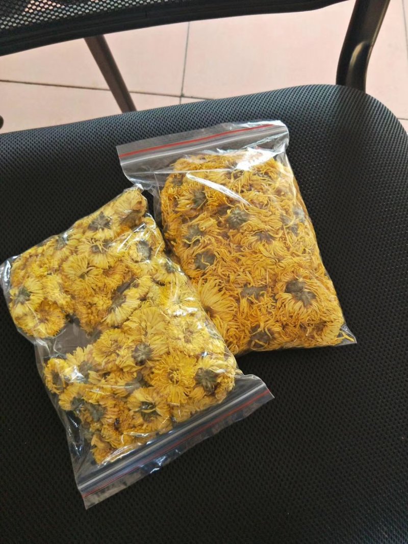 土博定山金丝皇菊