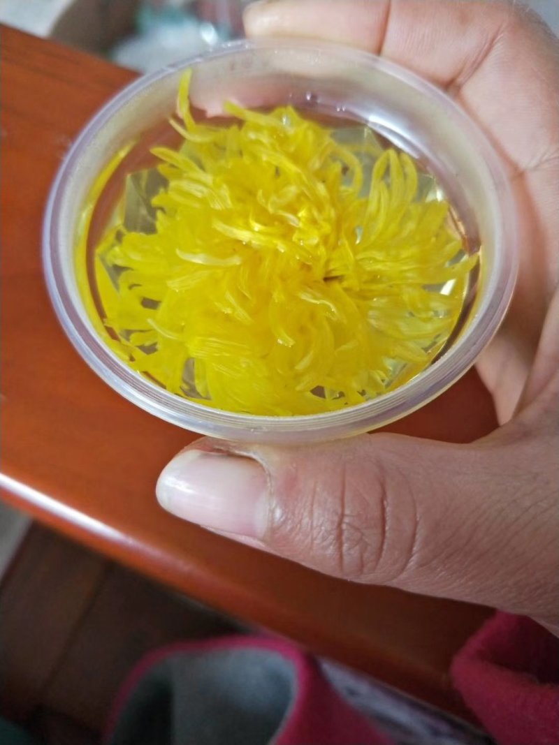 土博定山金丝皇菊