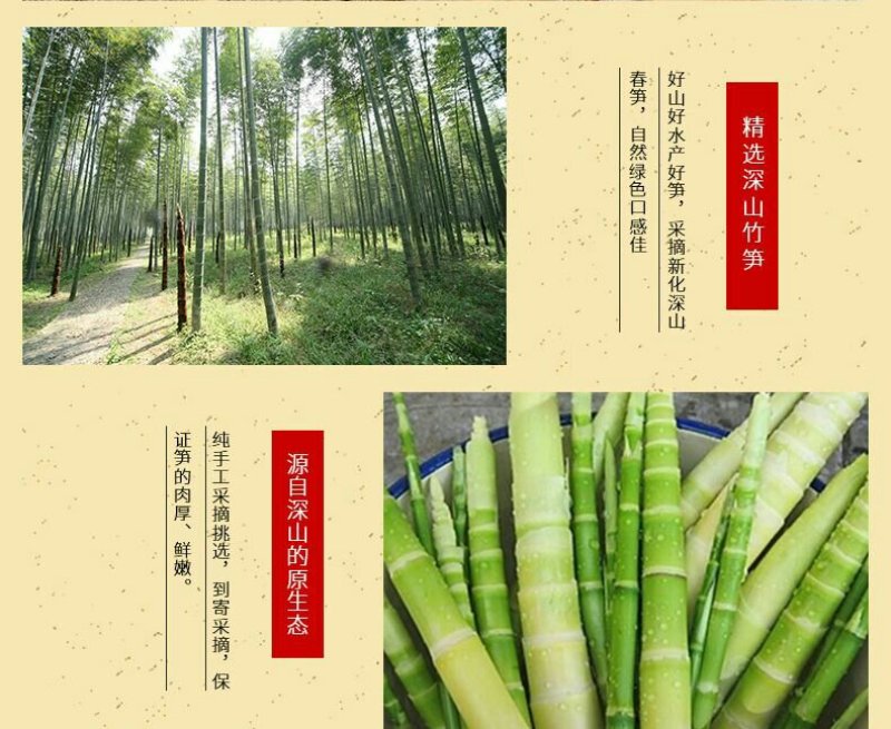 湖南新化特产锄二代野生干小笋100g野生小笋干