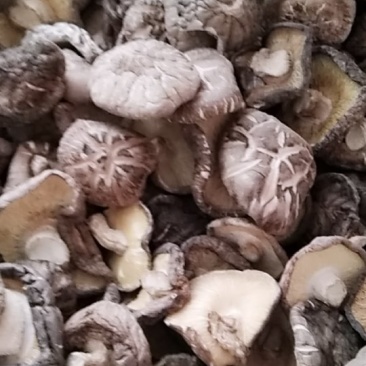 干香菇（自产自销）适用食堂级饭店