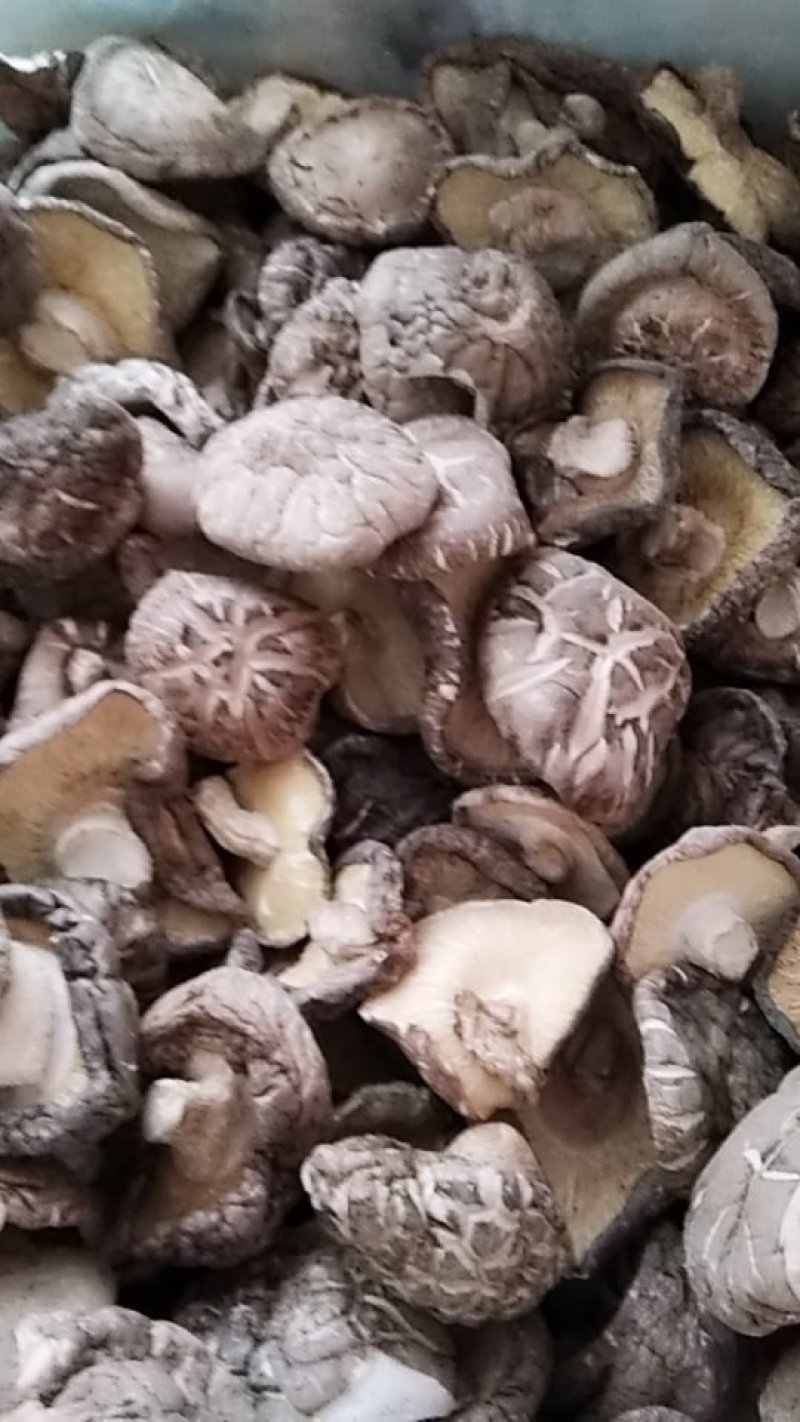 干香菇（自产自销）适用食堂级饭店