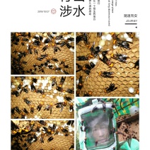 特种养殖