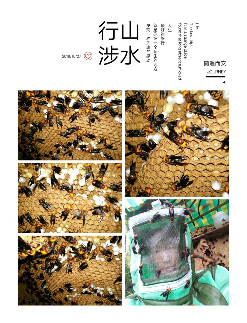 特种养殖