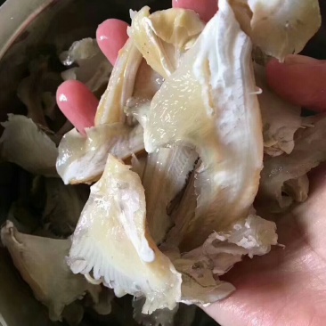 小翅，一斤包邮