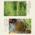 湖南新化特产锄二代匠心手作系列酸豆角300g农家自制