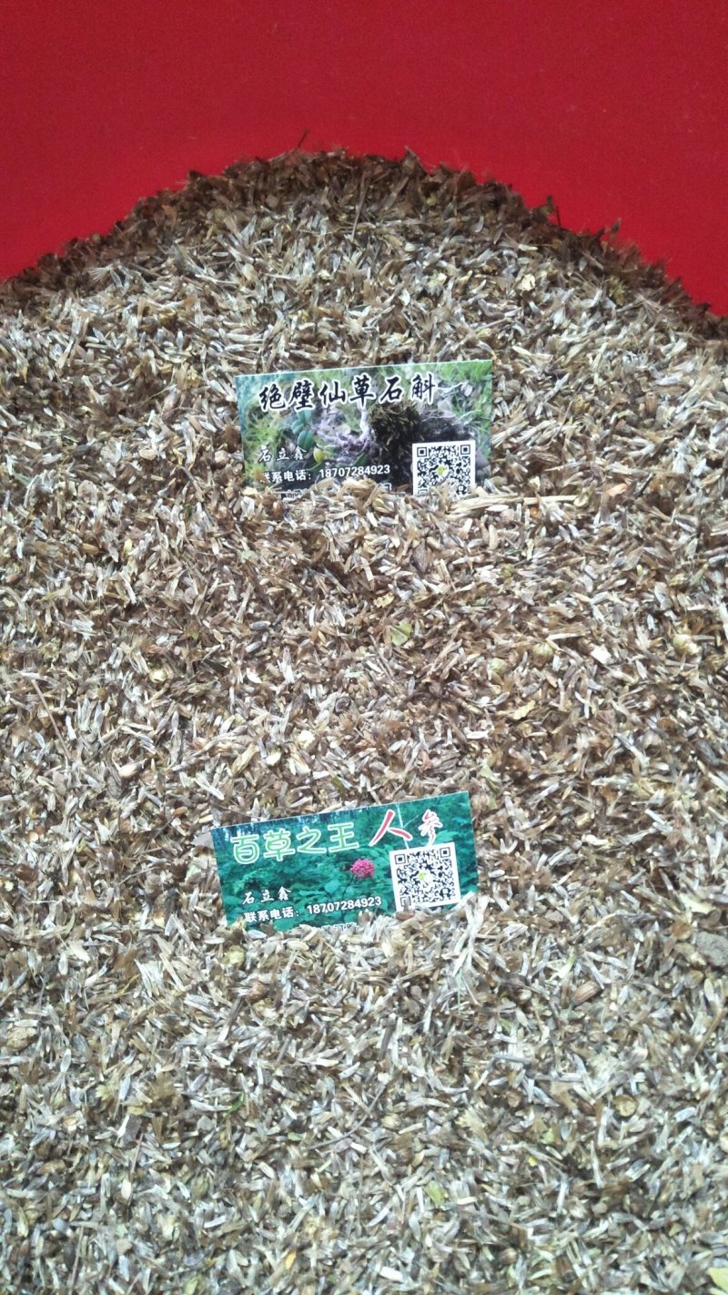 苍术种子湖北半野生干货包邮现货