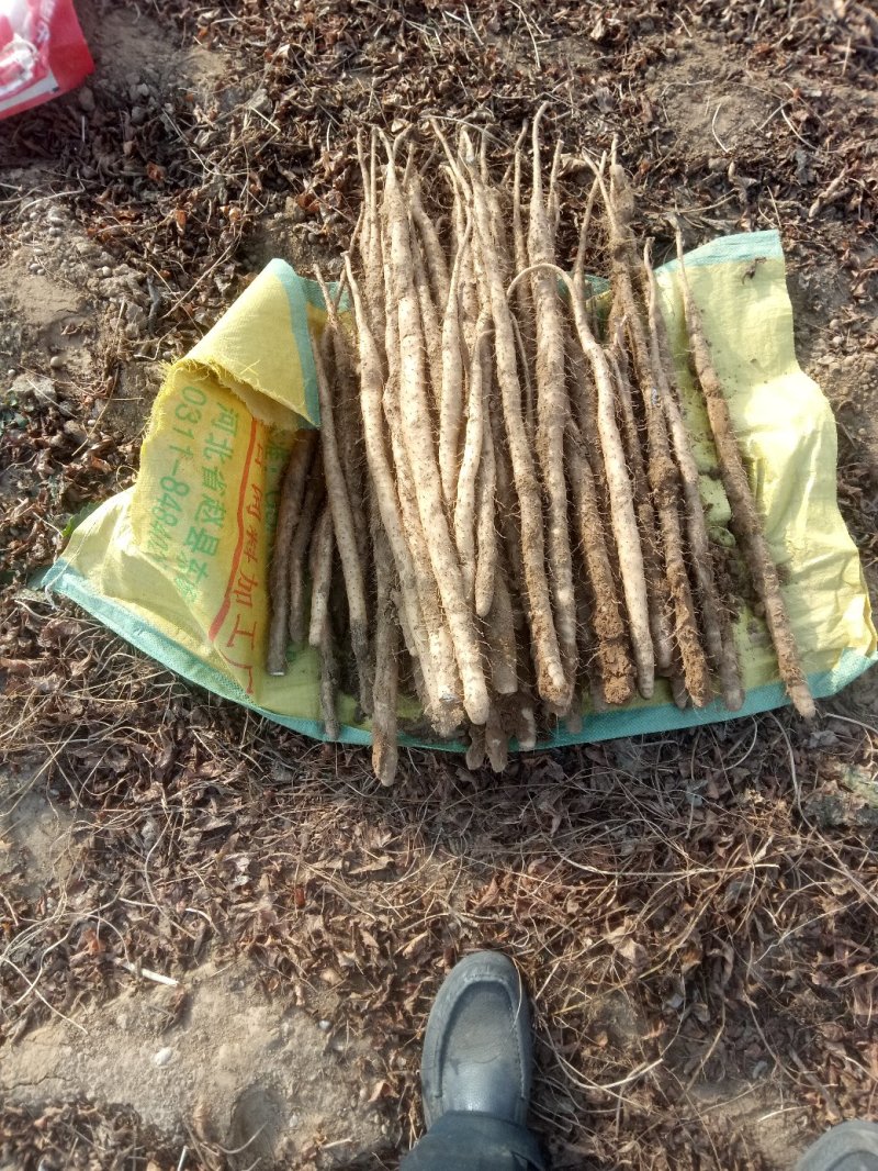 20至50公分