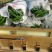 薄皮椒夏邑县万亩辣椒精品大棚基地质量好价格低