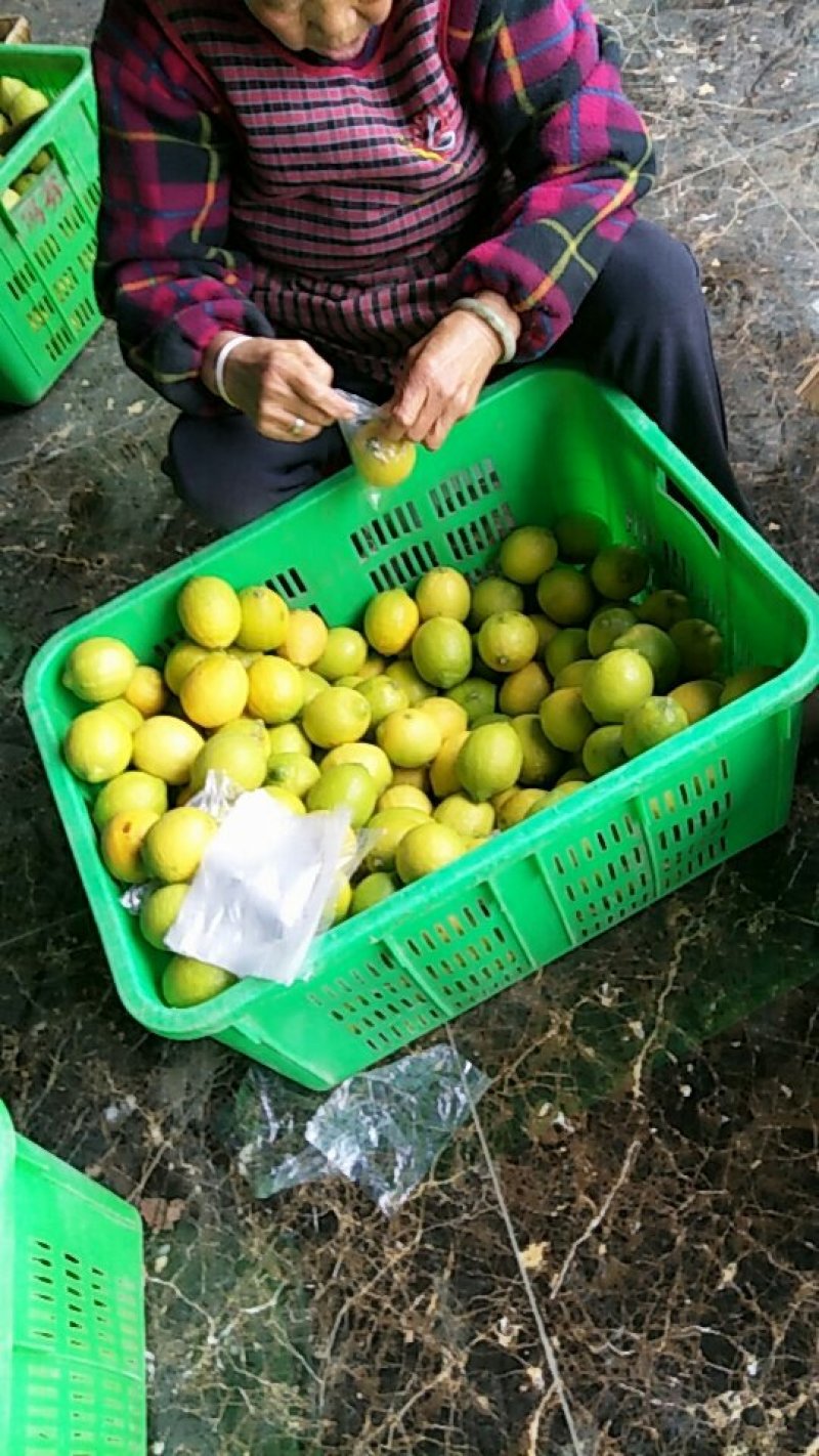 柠檬
