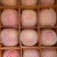陕西红富士苹果纸袋70-80通货10斤一箱10箱包邮