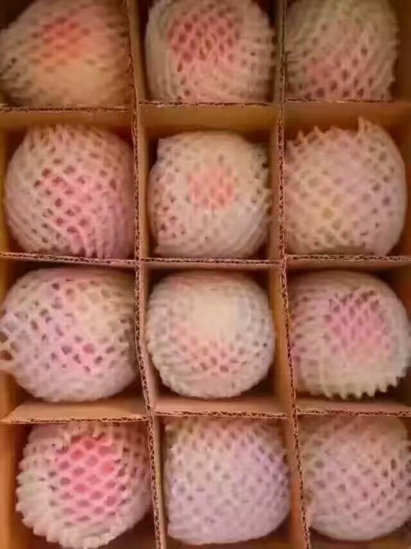 陕西红富士苹果纸袋70-80通货10斤一箱10箱包邮