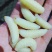 大精品蜂蛹，精品一斤一包，生冻货，保温箱发货