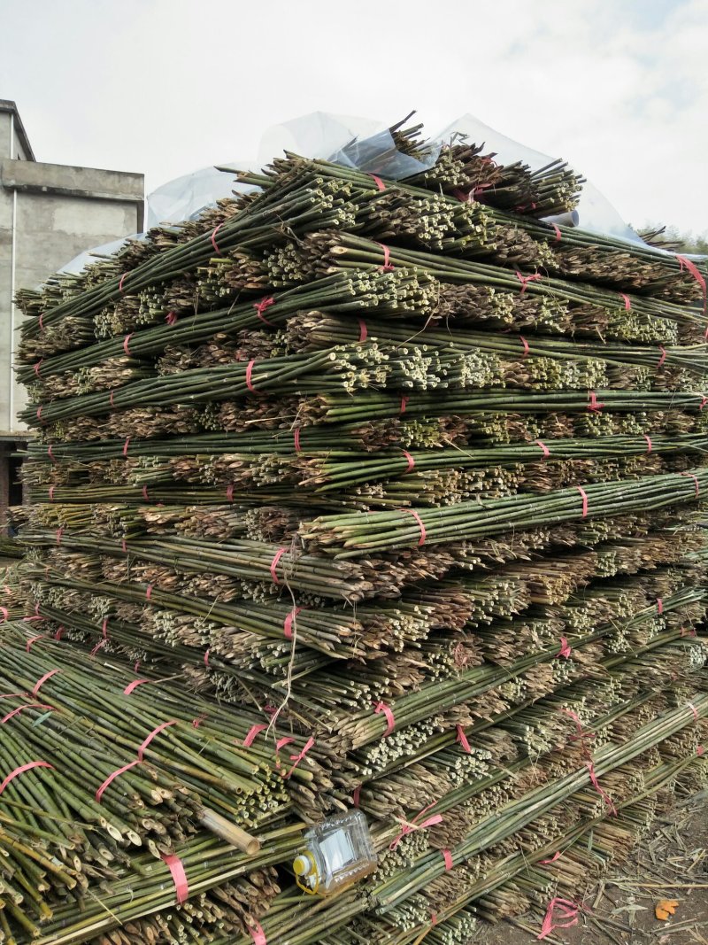 湖南批发竹竿自产自销优质2.5米50条竹竿