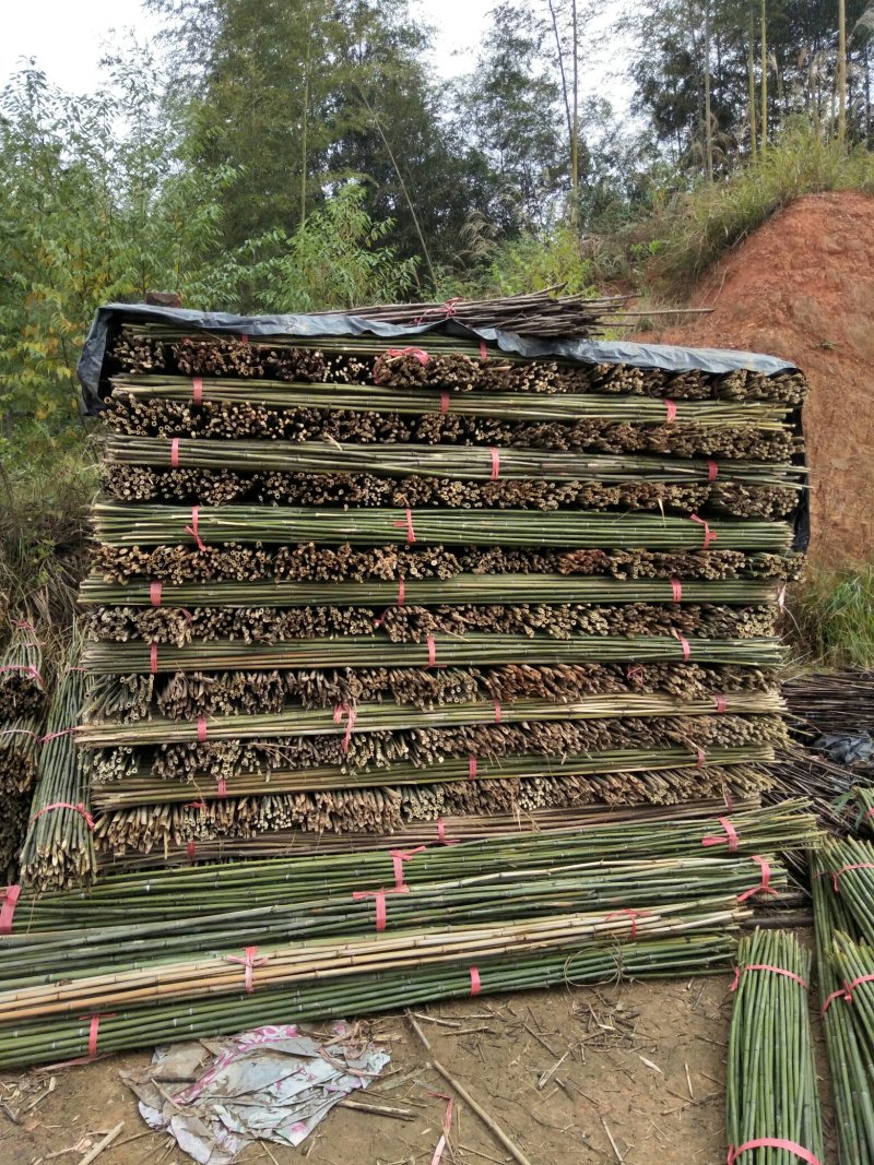 湖南批发竹竿自产自销优质2.5米50条竹竿
