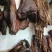 腊肉
