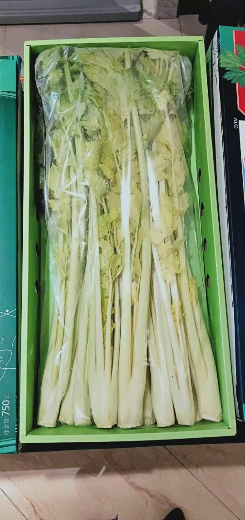 青岛平度马家沟牌有机菌种植空心芹菜