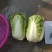 娃娃菜，产地直供，代发全国，诚信经营。精品娃娃菜。