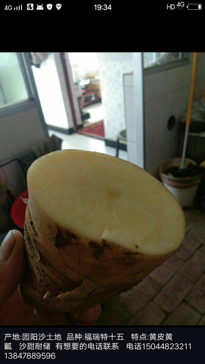 福瑞特