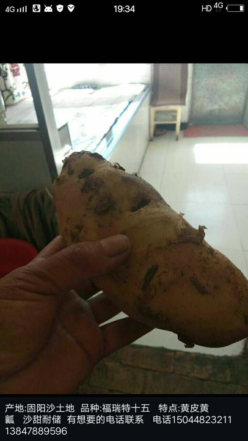福瑞特