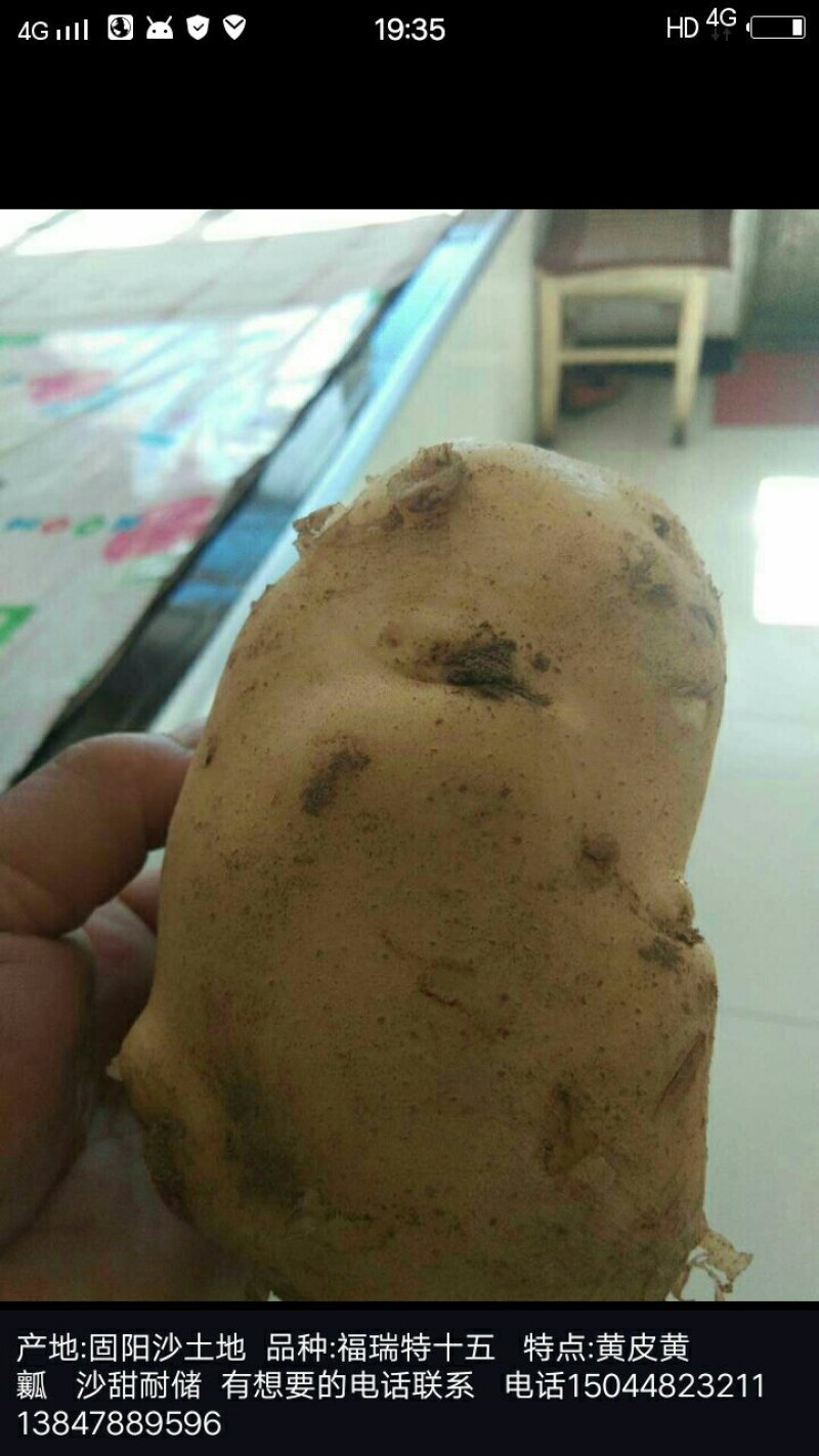福瑞特