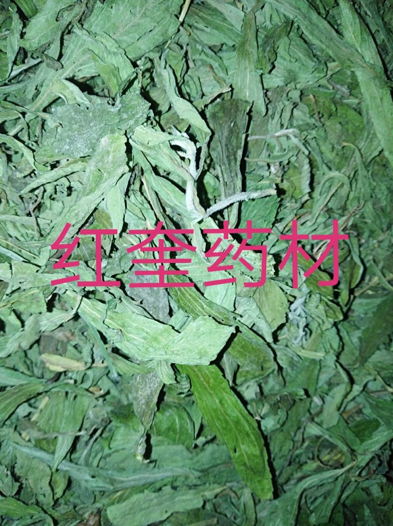 新货甜叶菊甜菊叶茶用精品令售各种外用药材