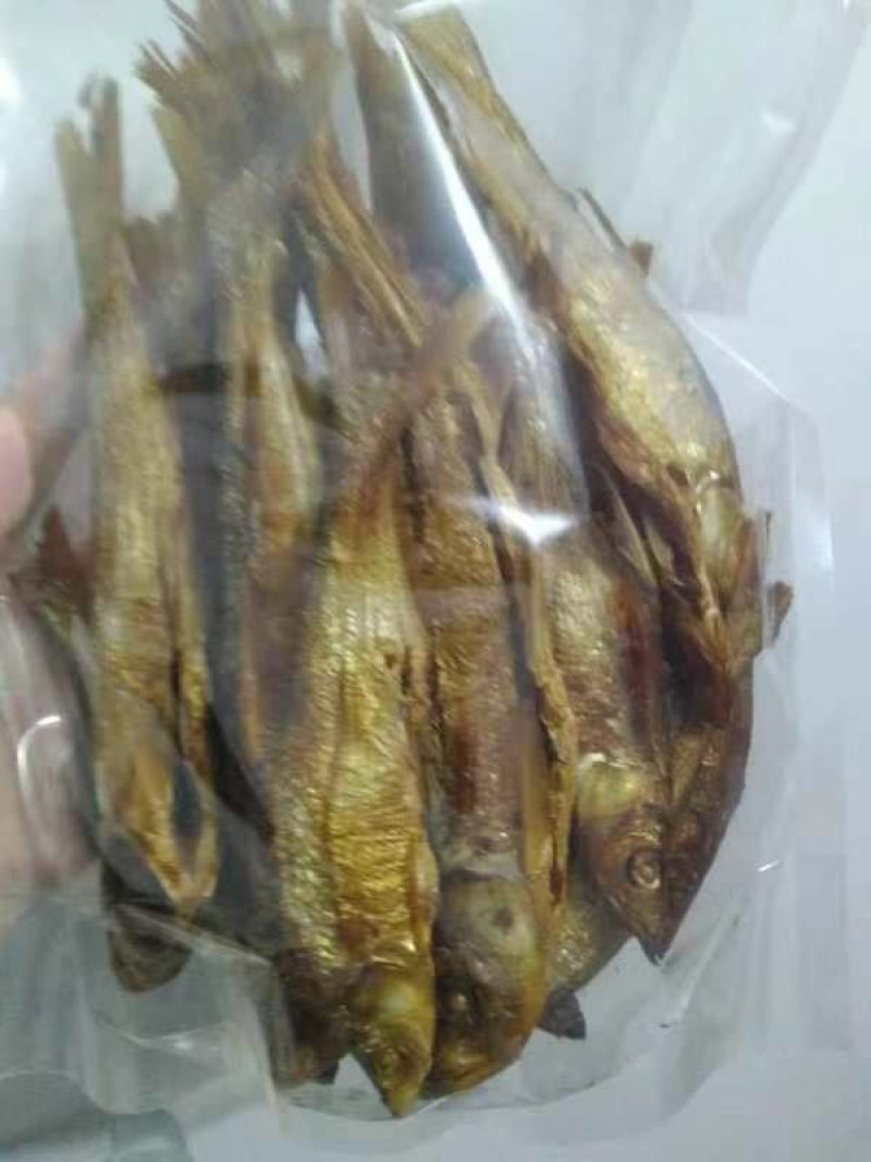 潇水河鱼