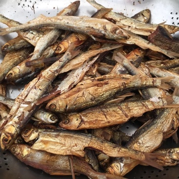 潇水河鱼