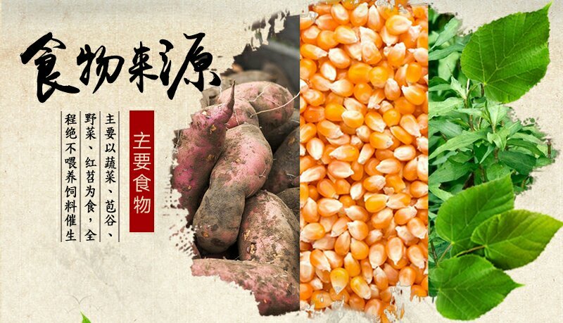 攀枝花特产（油底肉258克/袋）
