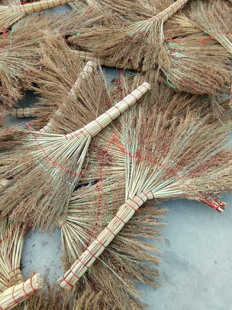 贵州高粱扫帚苗原料加工