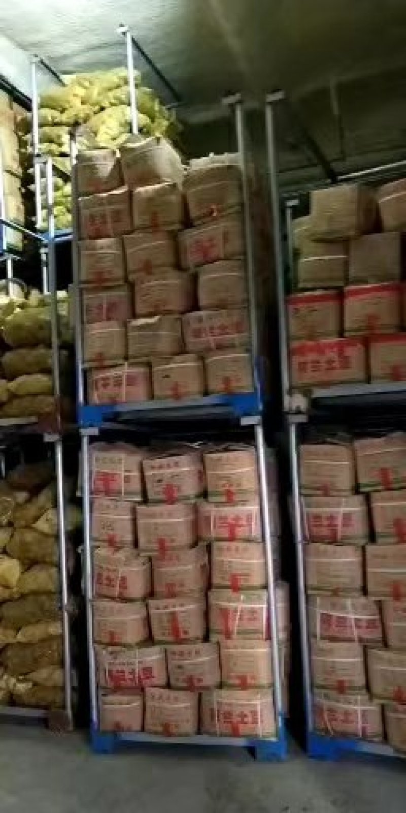 【牛商推荐】滕州冷库土豆箱装，袋装规格齐全可对接商超质优