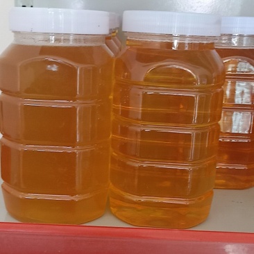 新疆伊犁黑蜂蜂蜜500克