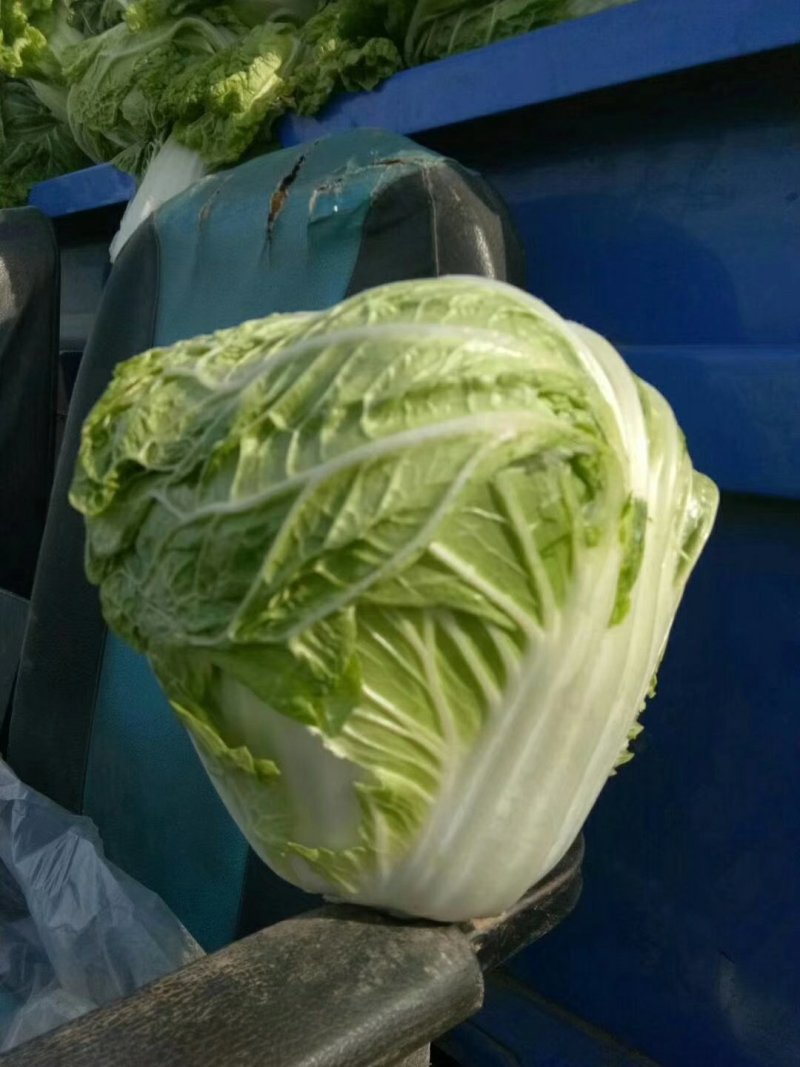 精品小包基地新鲜供应量市场，平台。库存，大量现
