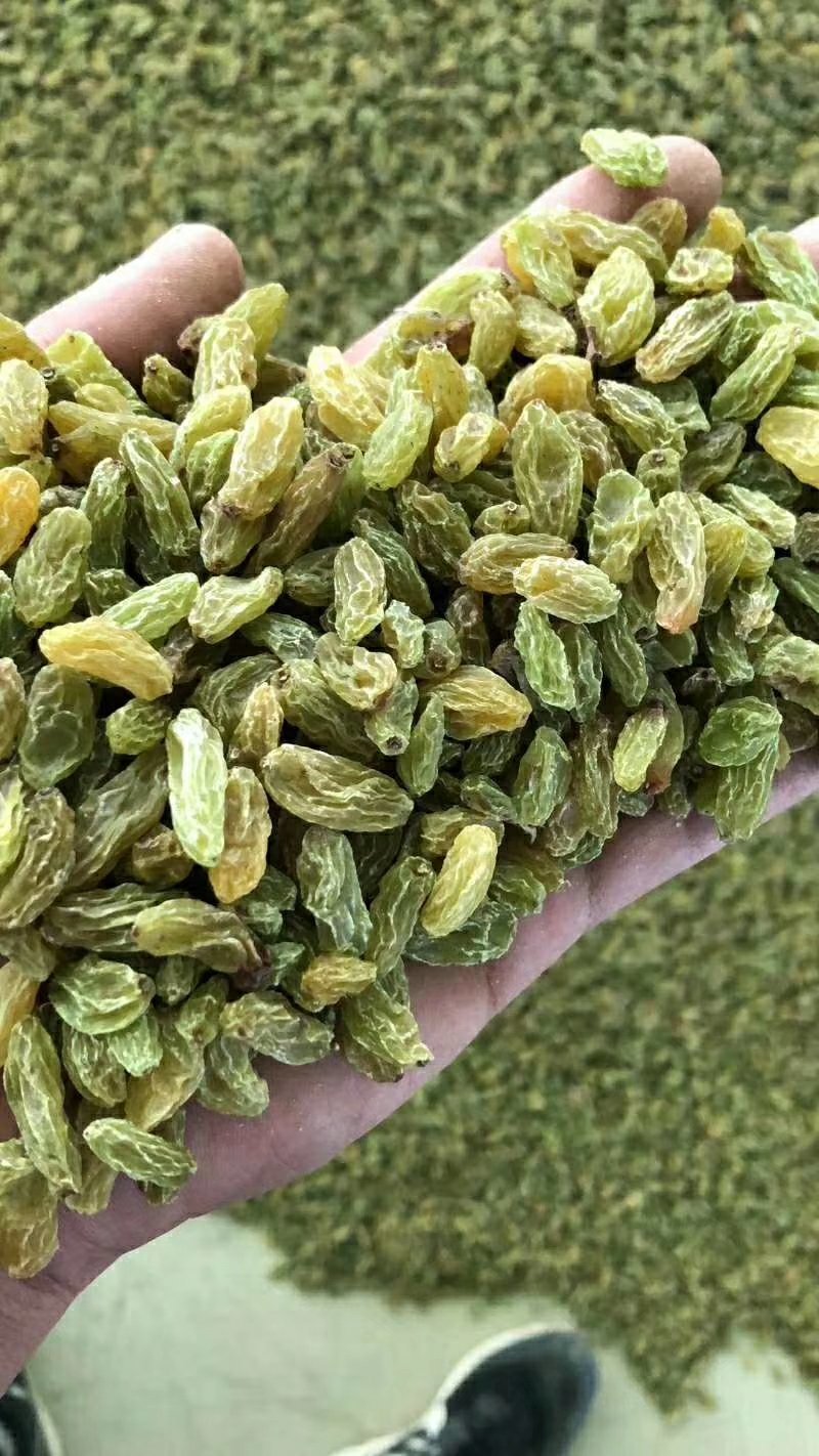 香妃特级