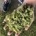 香妃特级