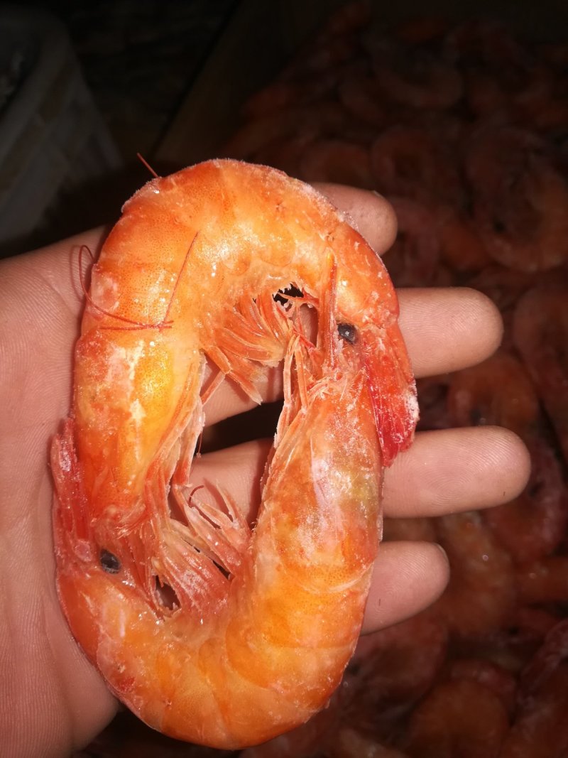 对虾