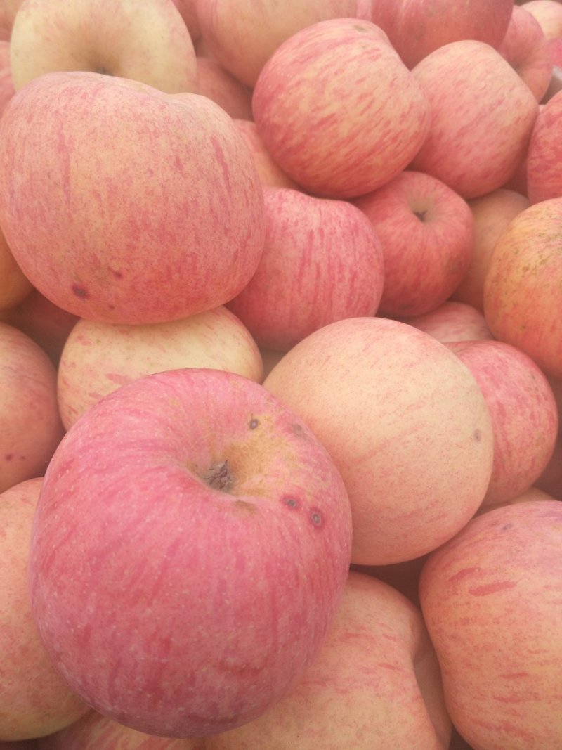 红富士苹果🍎