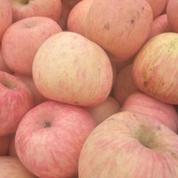 红富士苹果🍎
