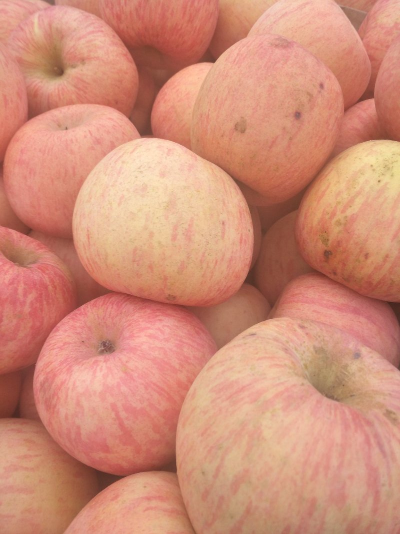 红富士苹果🍎