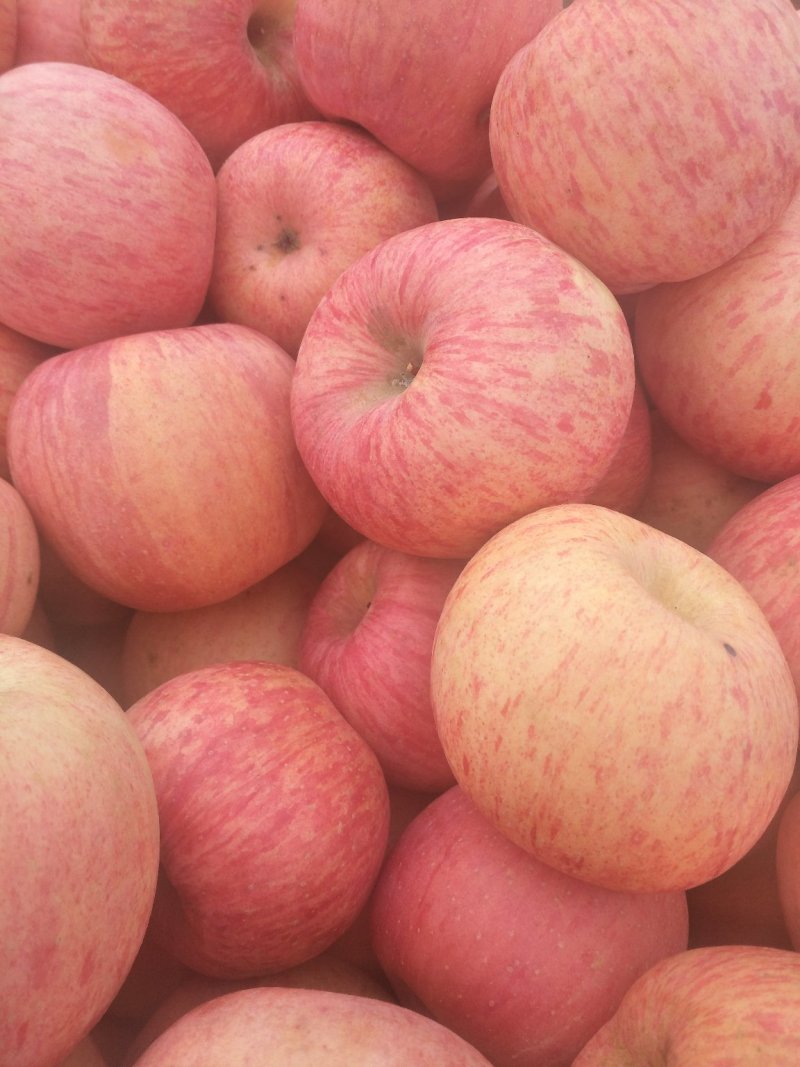 红富士苹果🍎